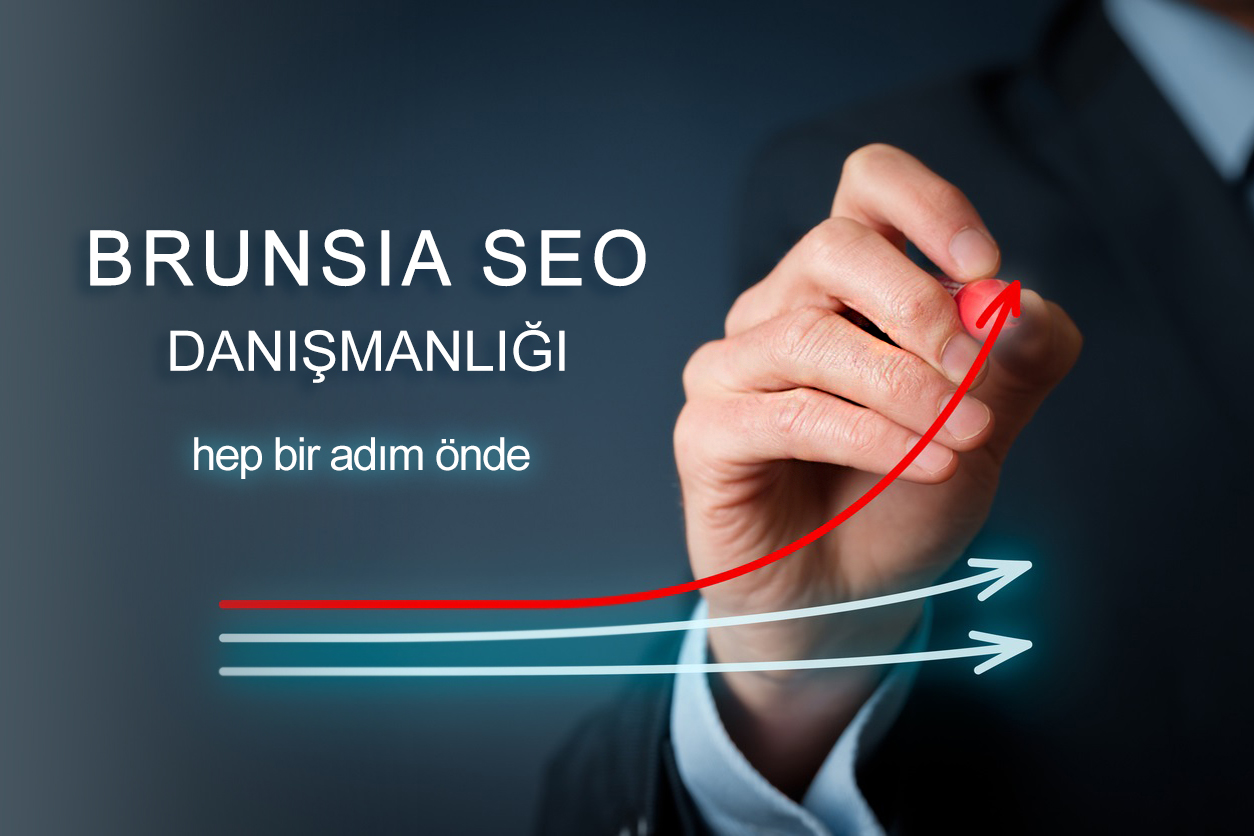 Seo Hizmeti